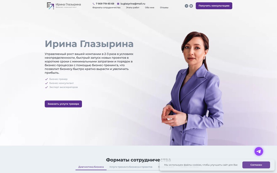 И. Глазырина - Бизнес-консалтинг